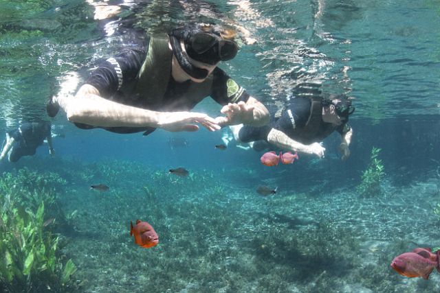 110-Bonito-snorkelen-009 met vissen.jpg - …in een kristalheldere rivier. We laten ons meedrijven in het glasheldere water. Niet zo adembenemend als het Barrier Reef maar leuk om weten dat je in een rivier zwemt.
